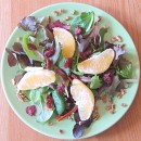 Field Salad w Citrus Vinaigrette