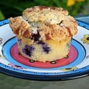 Blueberry Muffin Pic