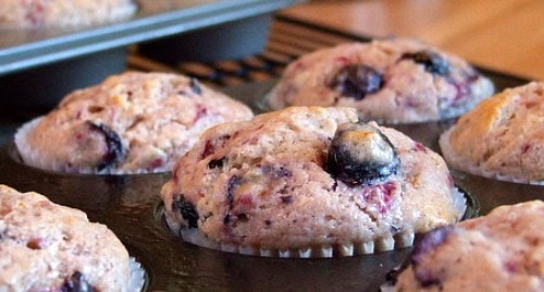 Blueberriest Muffins