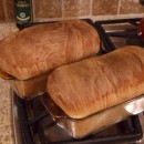 Pete's Whole Wheat Bread