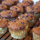 banana Chocolate Chip Muffins