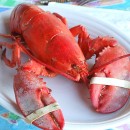 Lobstah!