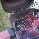 Blueberry Pork 2