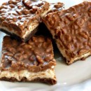 Royal Chocolate Marshmallow Bars Pic