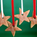 Cinnamon Sugar Stars 5
