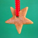 CinnamonStars4