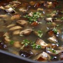 MushSoup2