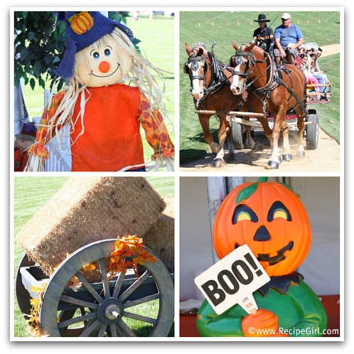 FallFestival2 FallFestival2