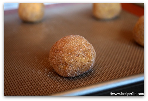 PumpkinSnickerdoodles1