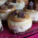 Toffee Crunch Cheesecakes 1