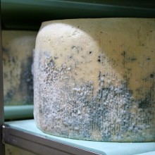 Gorgonzola Factory