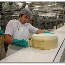 Asiago Cheese Factory 3