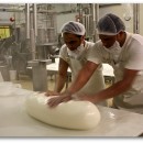 Provolone Cheese Tour2