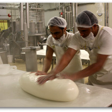 Provolone Cheese Tour2