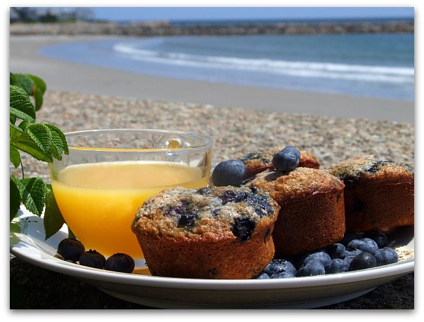 Muffins- Blueberry Oatmeal