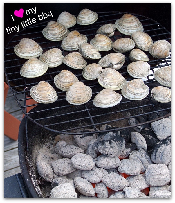 Sam's Club Grill Giveaway3