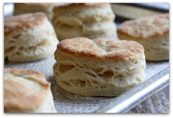 Flaky Buttermilk Biscuits 7