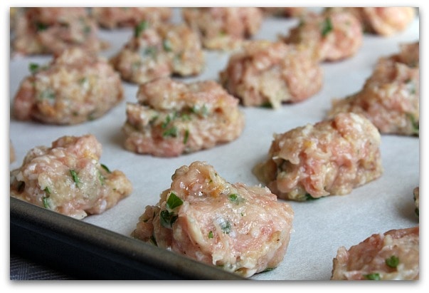 Ina Garten 39s Italian Wedding Soup