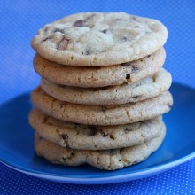 Chocolate Chip Snickerdoodles 2