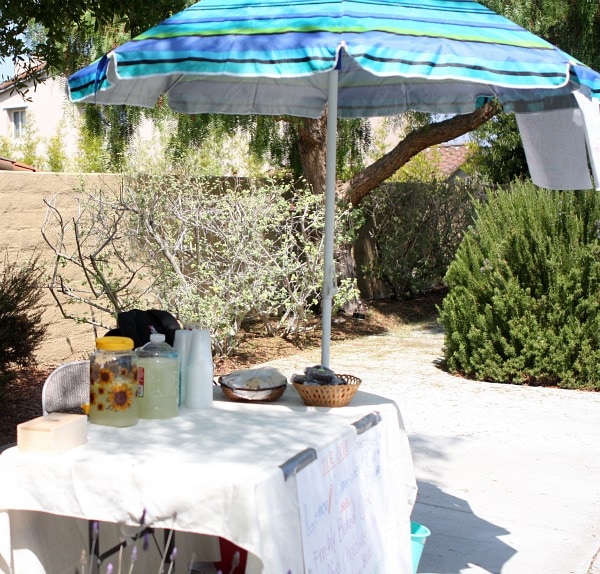 Lemonade Stand 6