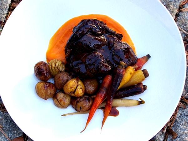 Braised Venison copy