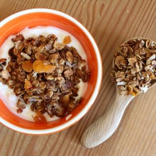 Homemade Granola 1