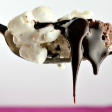 Campfire Ice Cream Cake 600