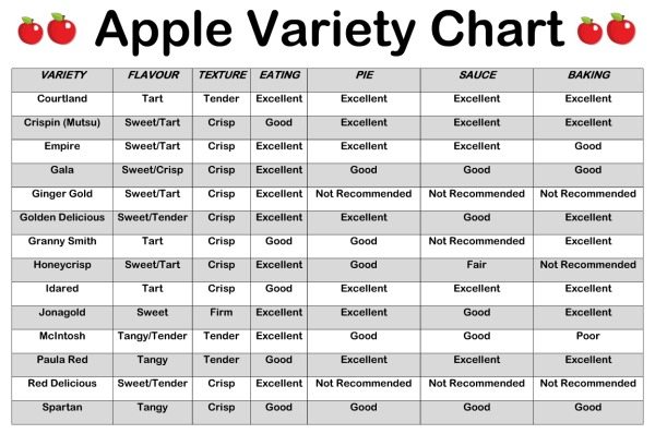 What is an apple variety chart?