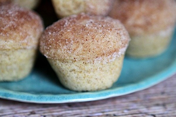 Snickerdoodle Muffins Recipe - RecipeGirl.com