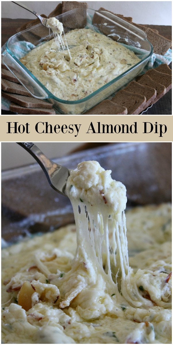 Hot Cheesy Almond Dip Recipe Girl