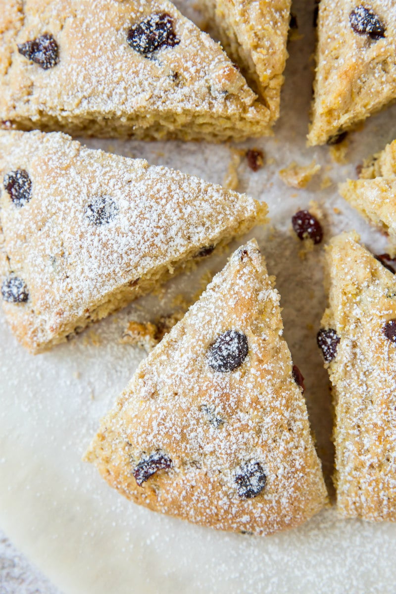 Whole Wheat Cranberry Scones dusted with powdered sugar