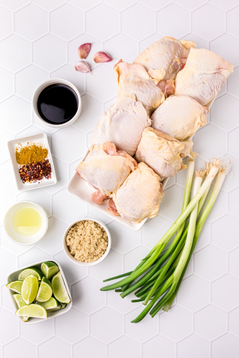 ingredients displayed for making asian barbecue chicken