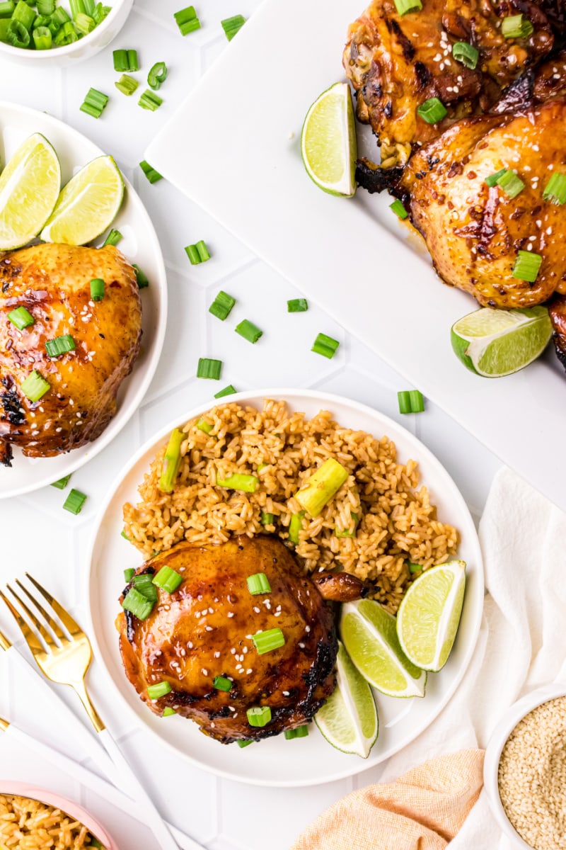 serving of asian barbecue chicken on a plate with rice