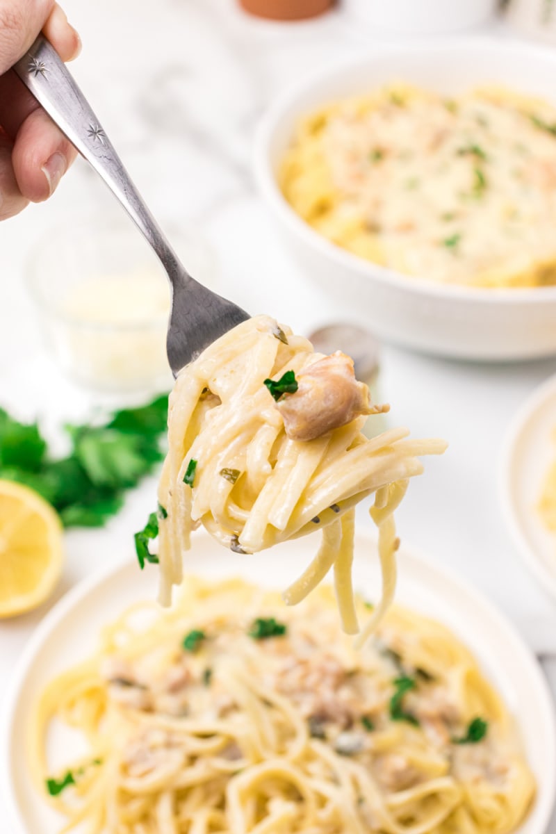 fork full of clam linguine