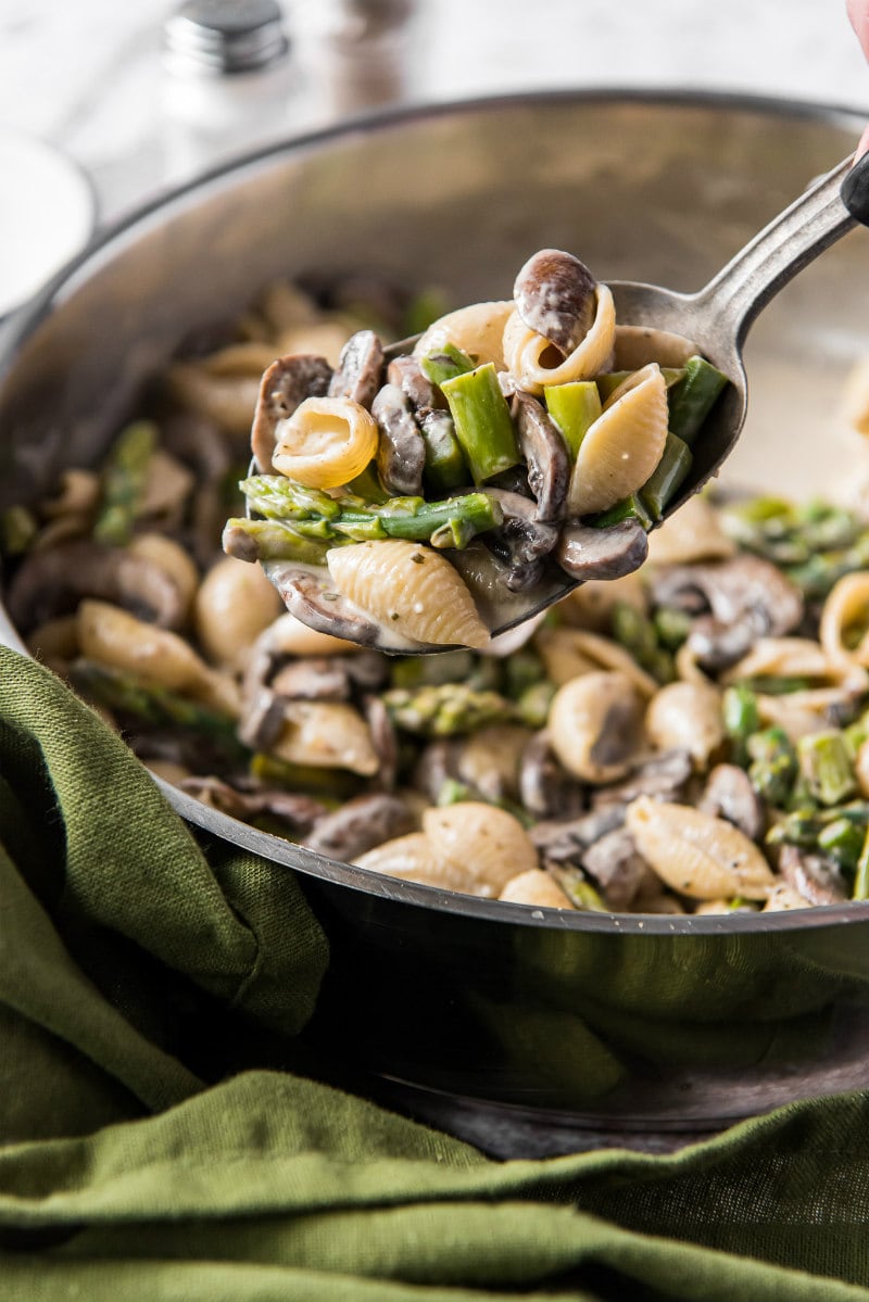 serving pasta shells with portobello mushrooms and boursin sauce