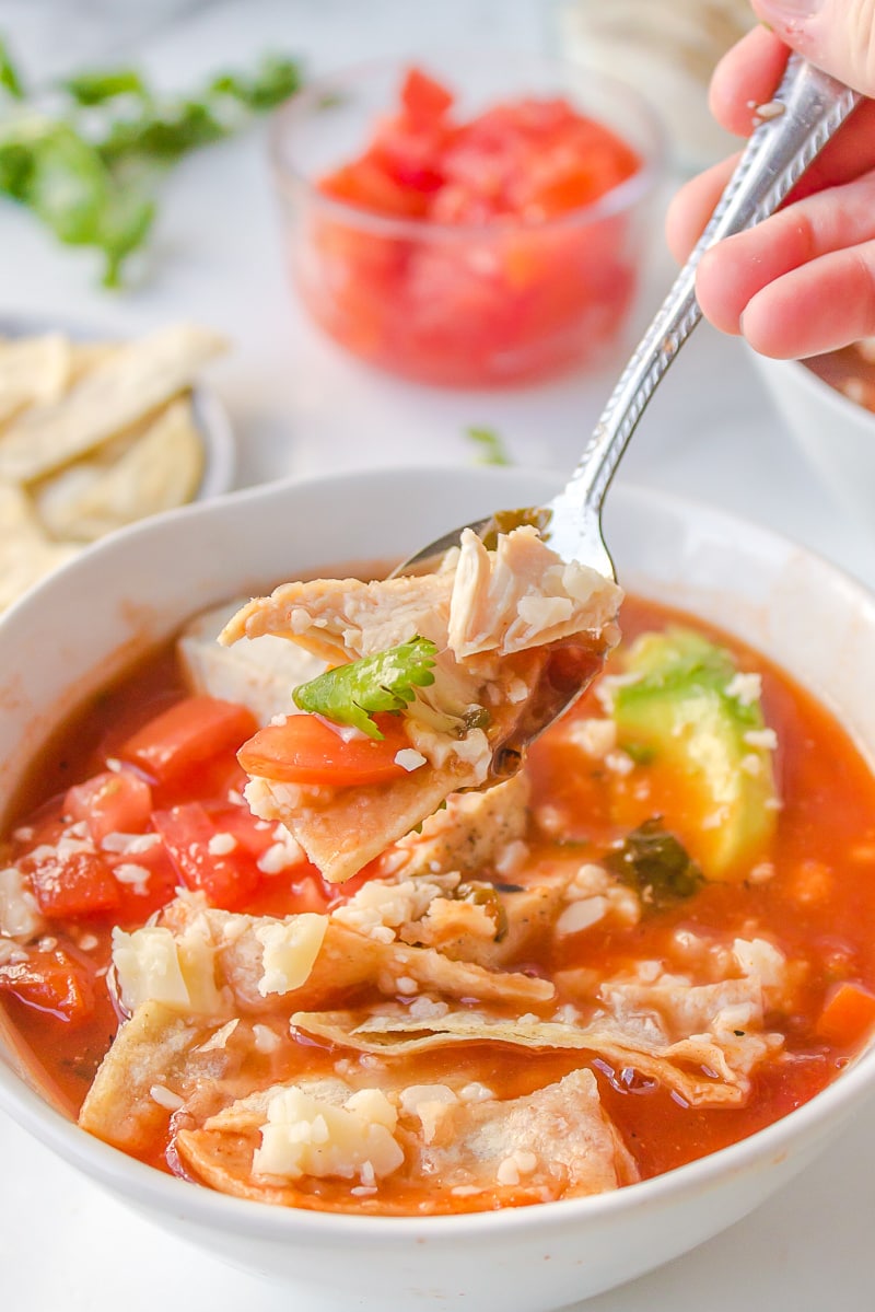 white bowl of chicken tortilla soup with spoonful of soup