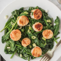 seared jumbo scallops on spinach on plate