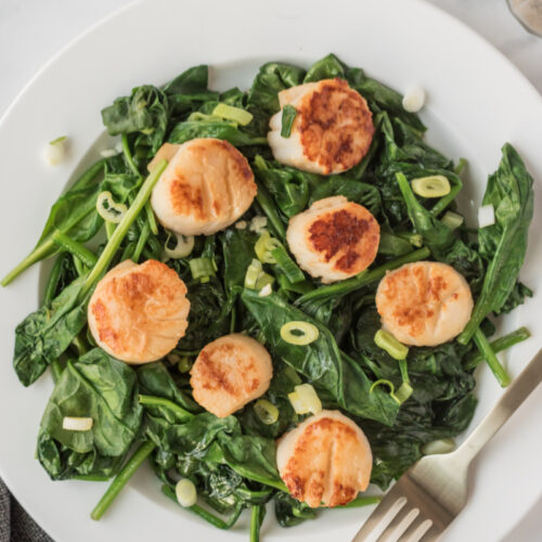 Seared Jumbo Scallops Recipe Girl