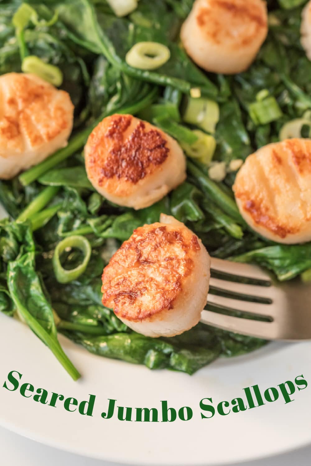 Seared Jumbo Scallops Recipe Girl