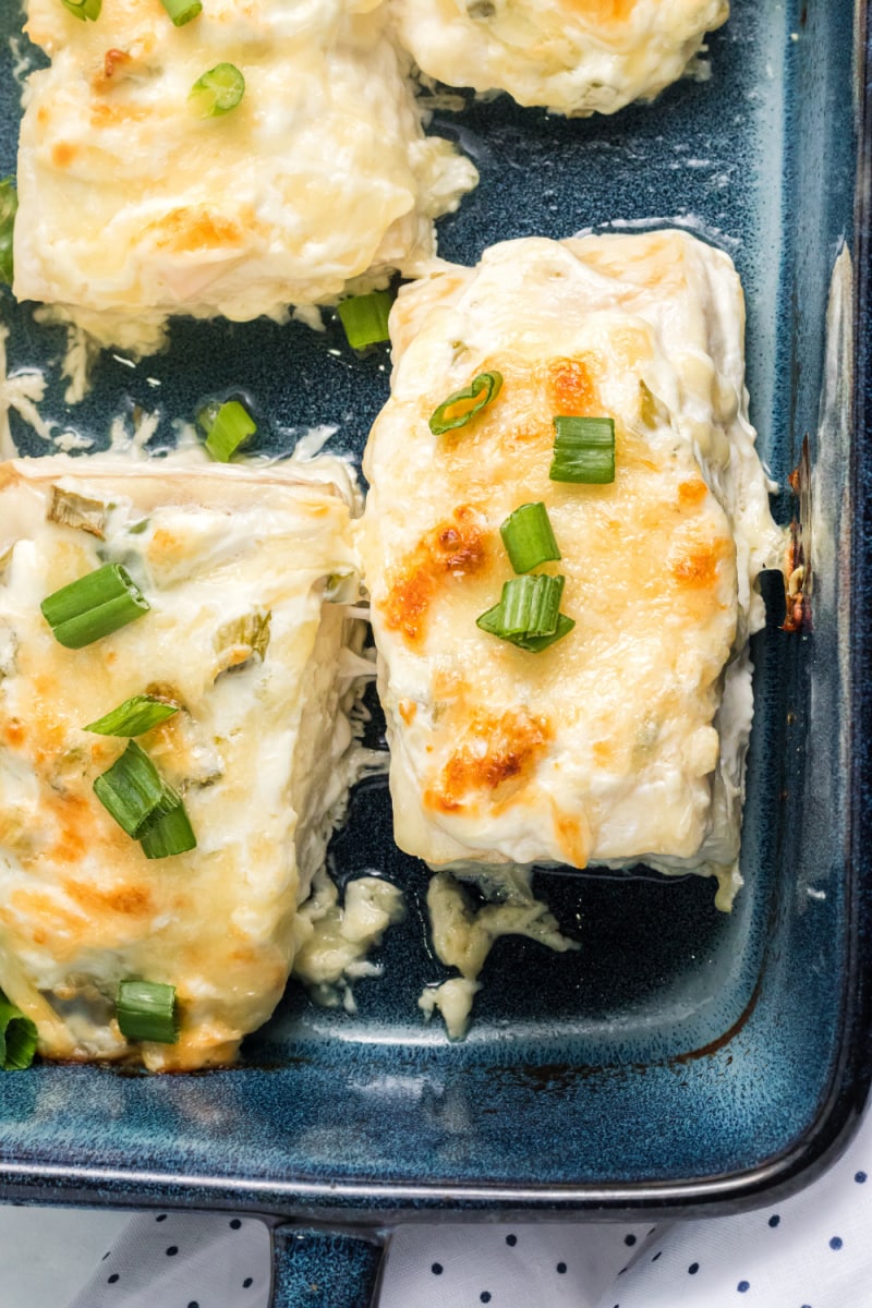 swiss parmesan halibut just out of the oven