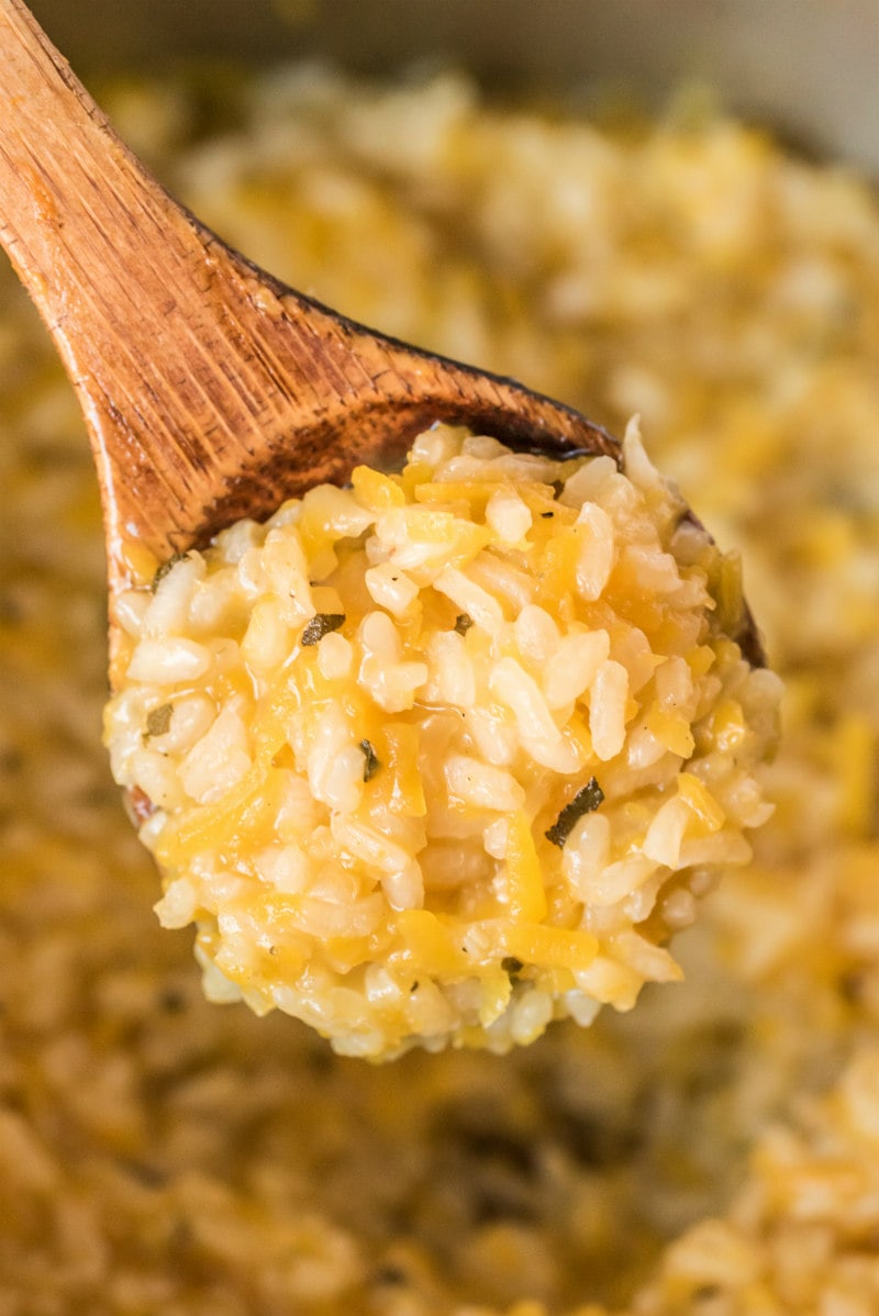 spoonful showing close up of butternut squash risotto