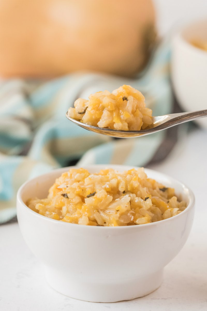 spoonful of risotto above bowl of risotto