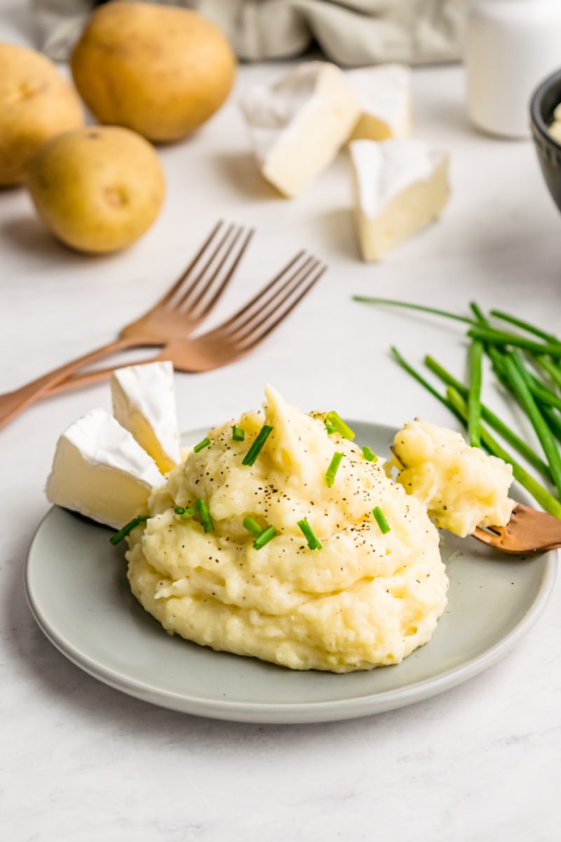 mashed potatoes on a plate