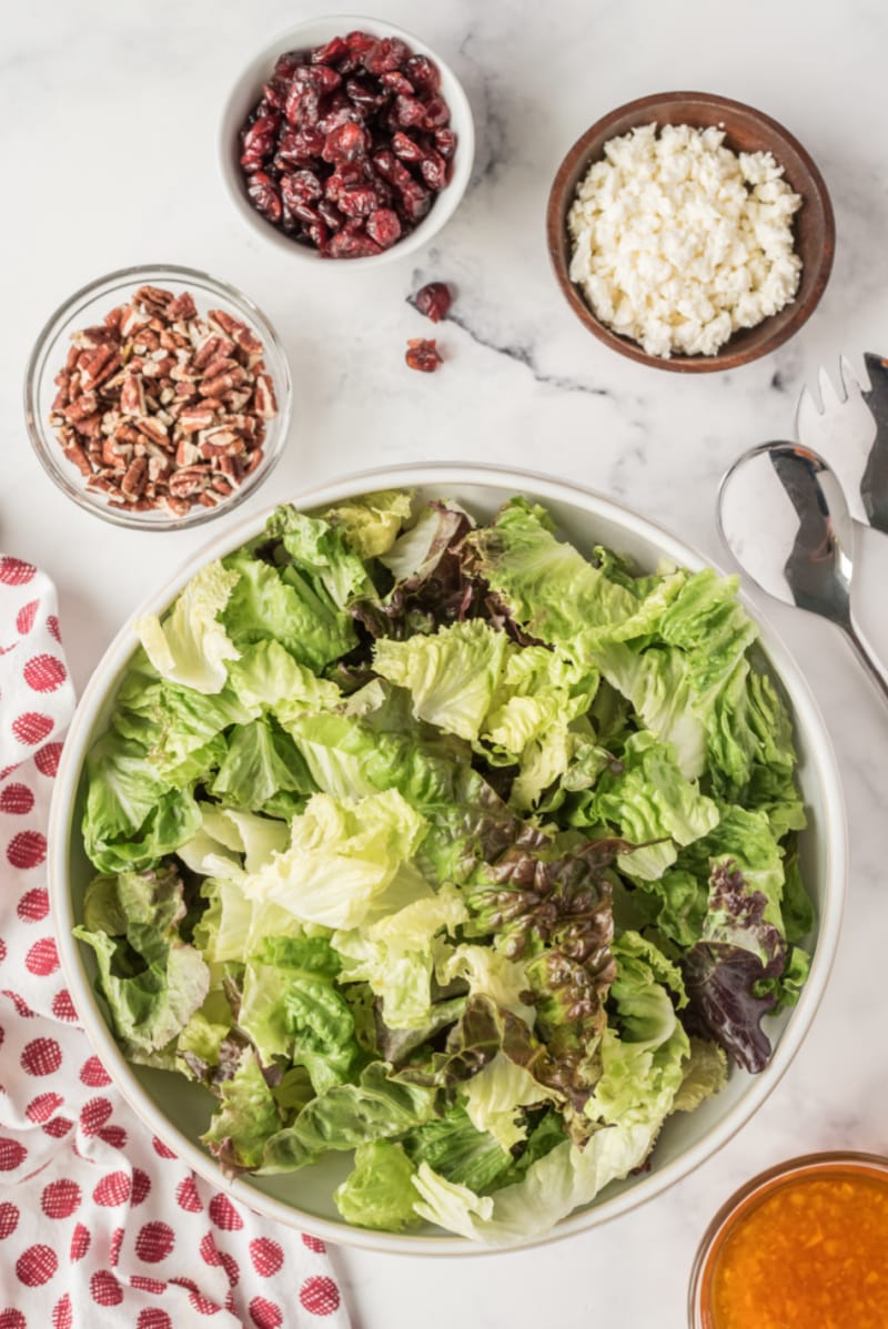 lettuce in a bowl and salad fixings on the side