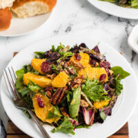 mixed green salad with oranges and dried cranberries on a white plate