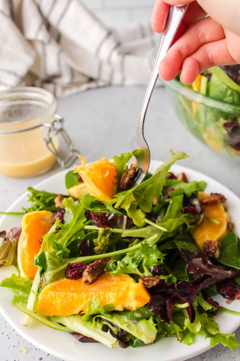 fork eating from plate of salad