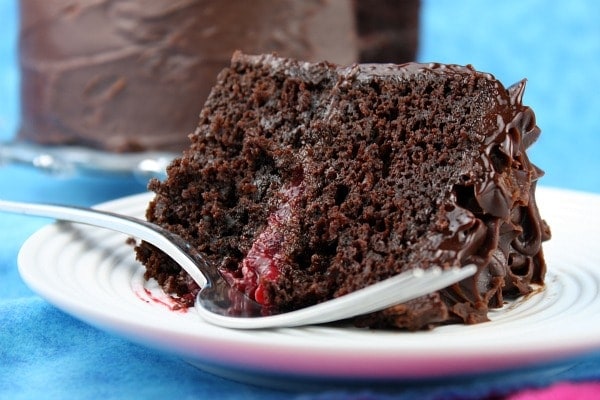 slice of double chocolate cake with raspberry filling