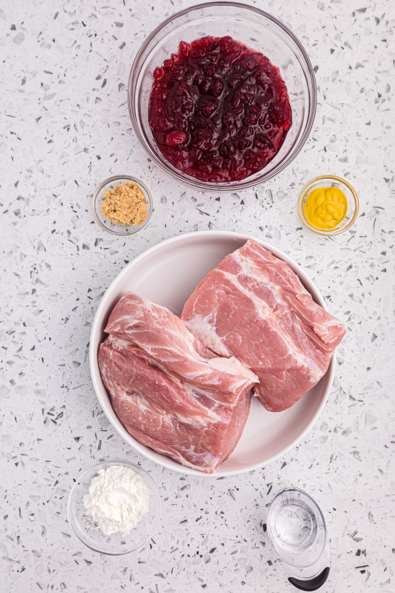 ingredients displayed for making crockpot cranberry pork roast