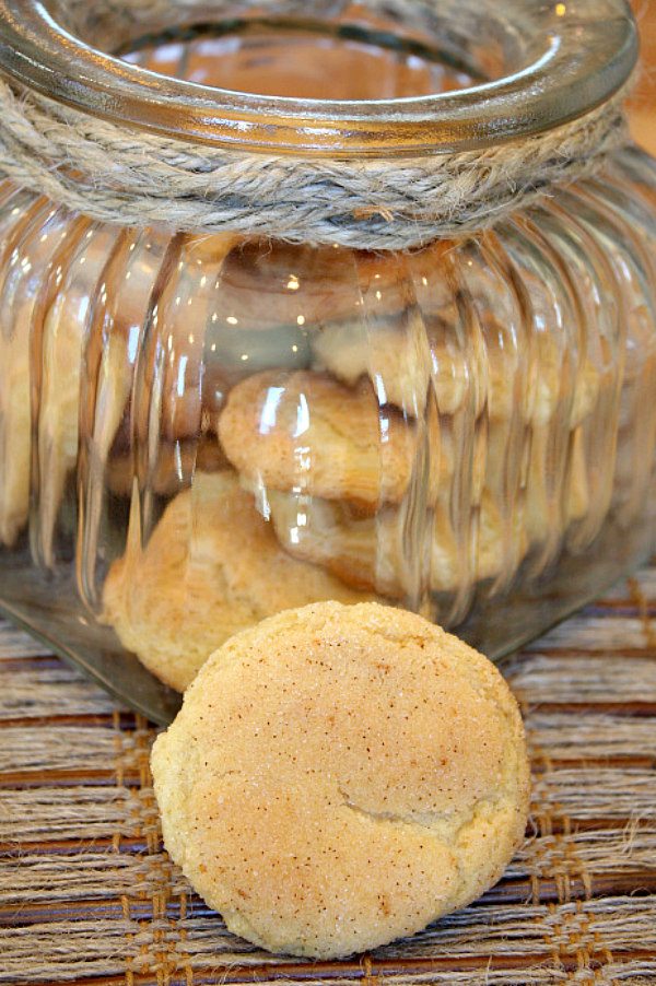 Brown Butter Snickerdoodles recipe from RecipeGirl.com #brownbutter #snickerdoodles #cookies #recipe #RecipeGirl Brown Butter Snickerdoodles in a jar