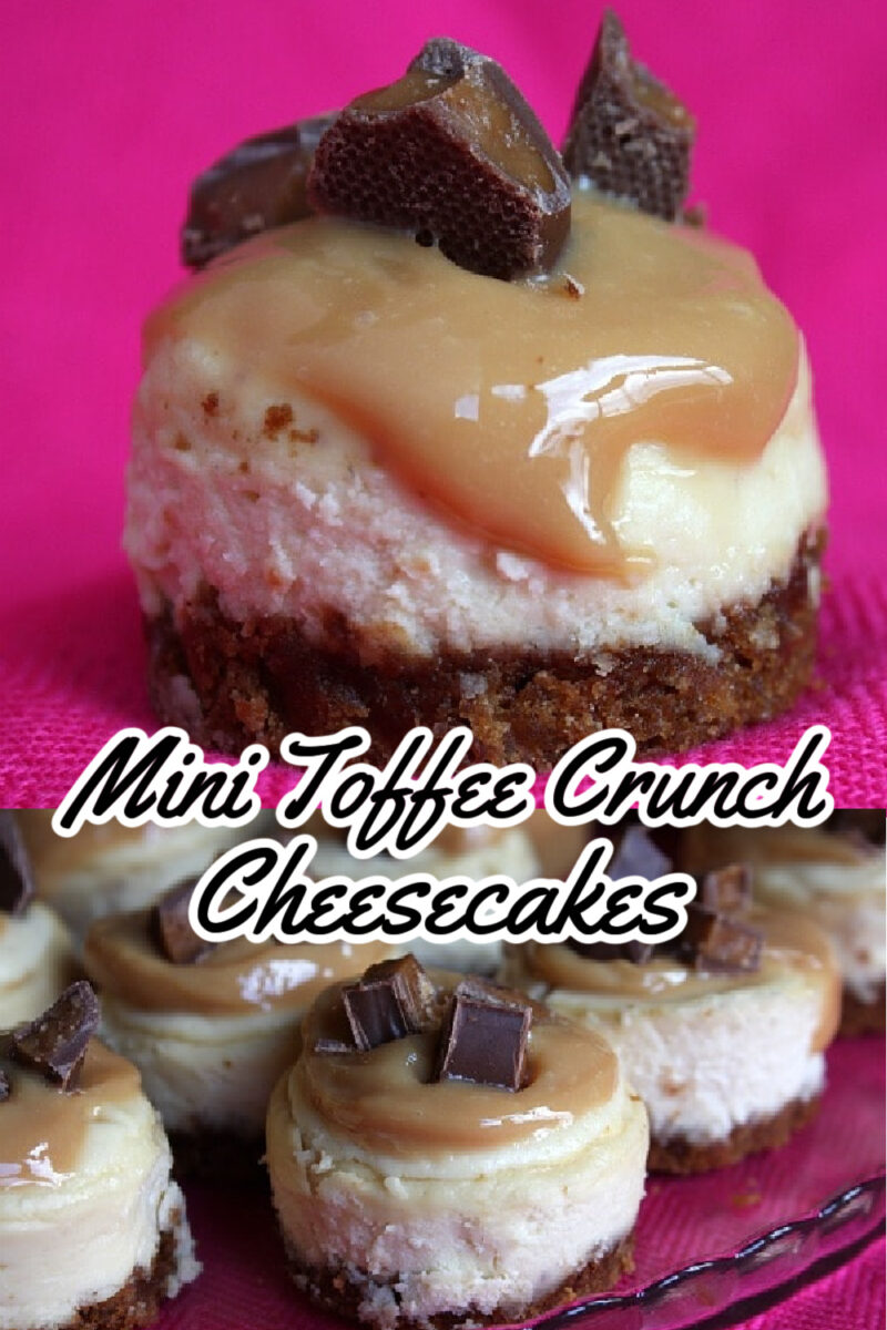 pinterest image for mini toffee crunch cheesecakes